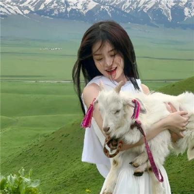 洛克王国！圣龙骑士